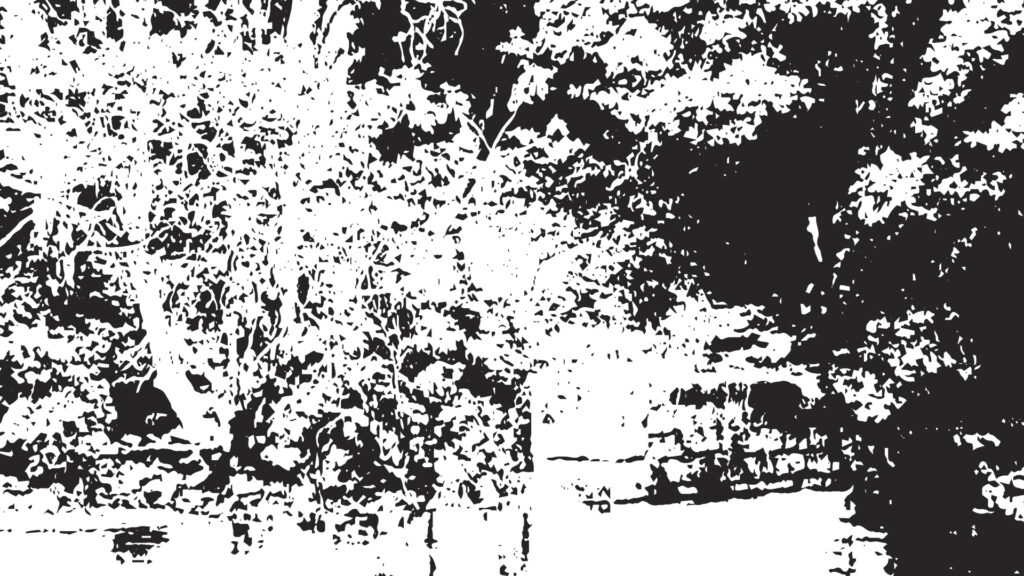 Bulletin décembre 2025: lieux particuliers, archives particulières